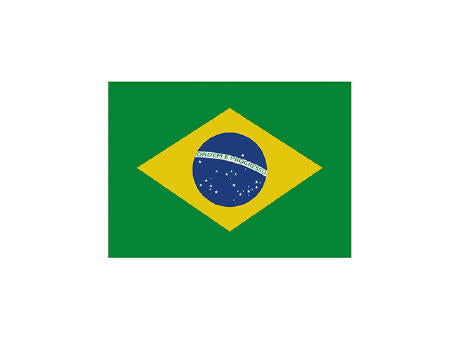 Fahne Brasilien