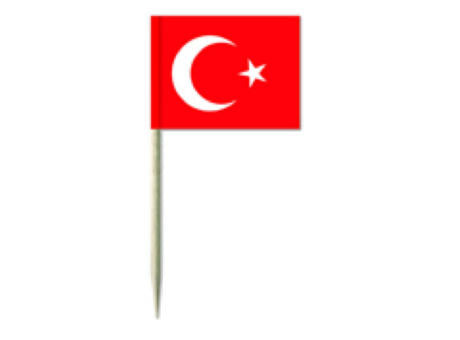 Minifahnen, Türkei