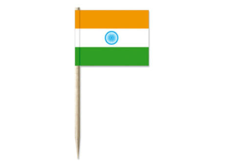Minifahnen, Indien