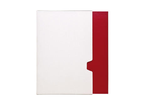 RECORD Notizbuch