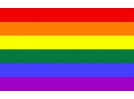 Polyesterfahne Regenbogen-Pride
