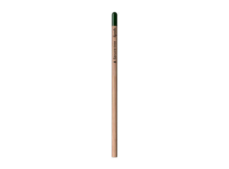 Sprout™ | Bleistift