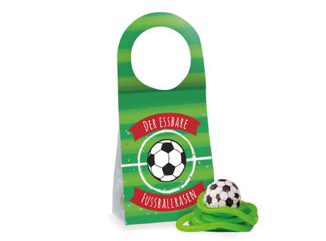 Türanhänger Fußballrasen