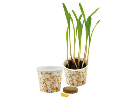 Snack 2Grow Popcorn