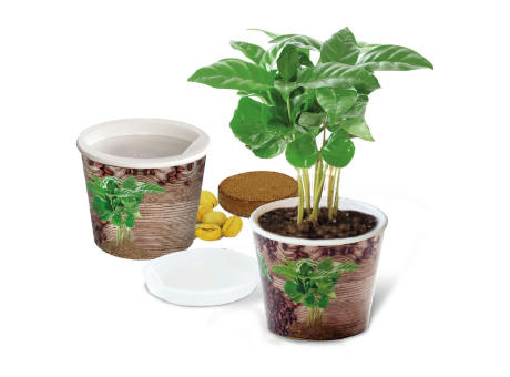 Coffee 2Grow