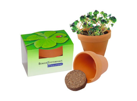 Tontöpfchen Glücksklee