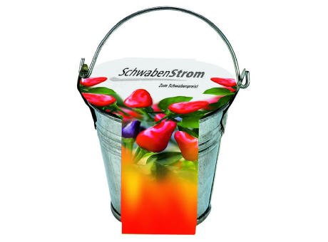 Zinkeimerchen Chili