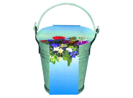 Zinkeimerchen Bunte Blumenmischung