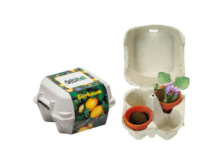 Eierbaum-Box
