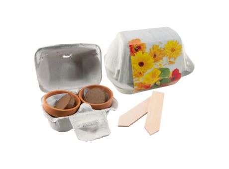 Wachstumsduett Essbare Blüten
