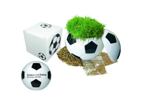 Präsentpackung Fußball