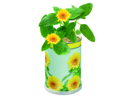 Blumendose Sonne