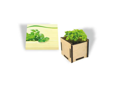 Pflanzsteckbox Green