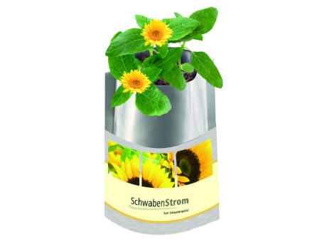 Plant-Bag Sonne