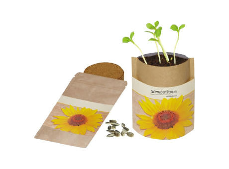 Natur-Bag Sonne