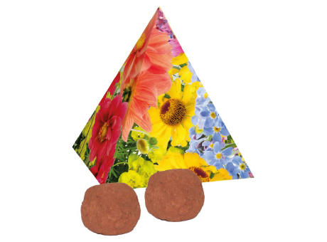 Pyramide Spitzenwachstum