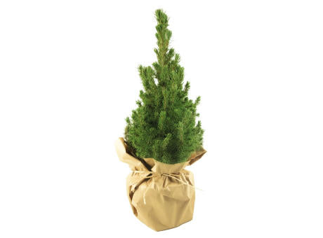 Natur-Bäumchen 35-45 cm