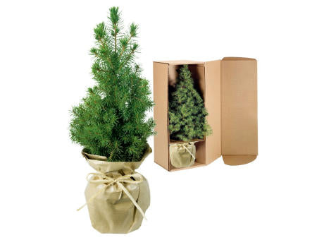 Natur-Bäumchen 20-30 cm
