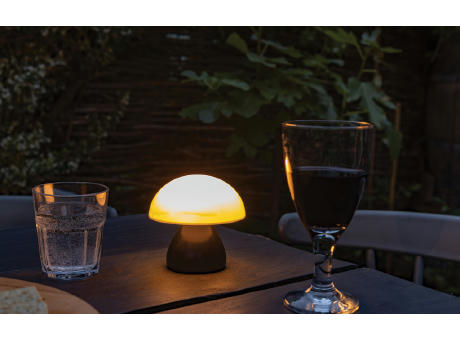Luming wiederaufladbare USB-Tischlampe aus RCS Kunststoff