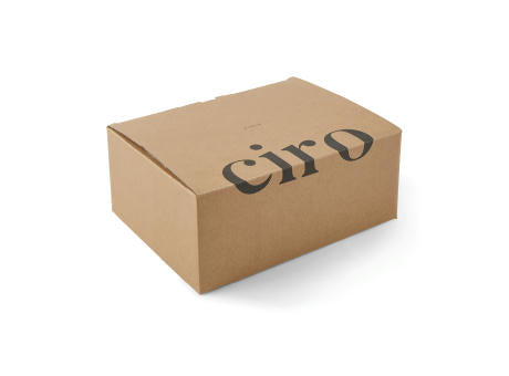 VINGA Ciro Lunchbox aus RCS recyceltem Stahl