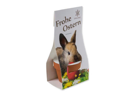 Logo-Töpfchen Überreichverpackung mit Samen - Ostern - Eierbaumsamen