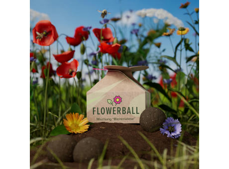 Seedbomb Set - Flower-Ball "Bienenwiese" - torffrei
